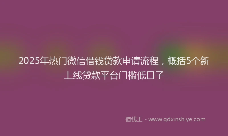 2025年热门微信借钱贷款申请流程，概括5个新上线贷款平台门槛低口子