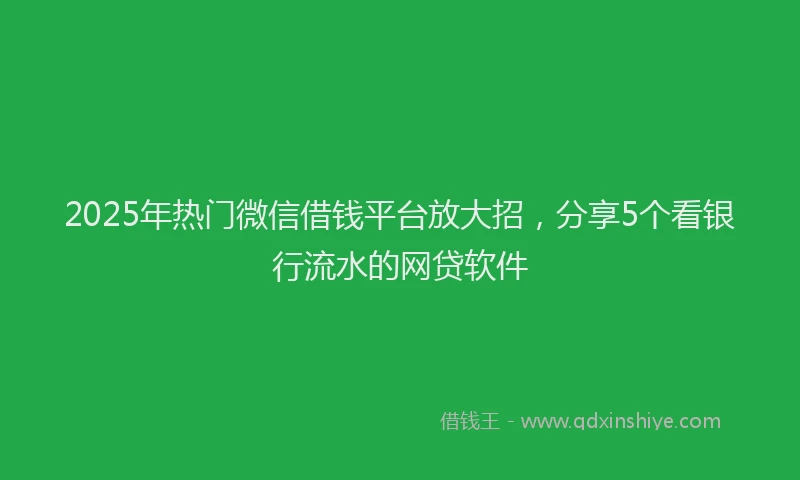 2025年热门微信借钱平台放大招，分享5个看银行流水的网贷软件