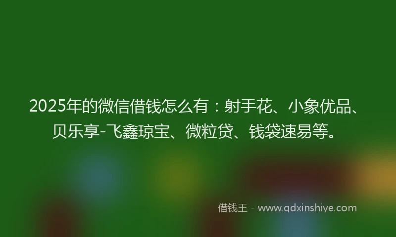 2025年的微信借钱怎么有：射手花、小象优品、贝乐享-飞鑫琼宝、微粒贷、钱袋速易等。