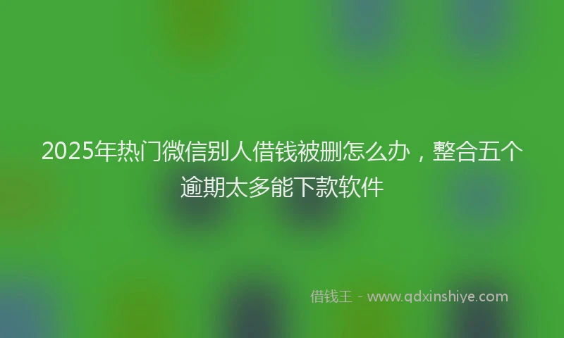2025年热门微信别人借钱被删怎么办，整合五个逾期太多能下款软件