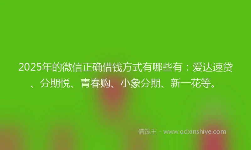 2025年的微信正确借钱方式有哪些有：爱达速贷、分期悦、青春购、小象分期、新一花等。