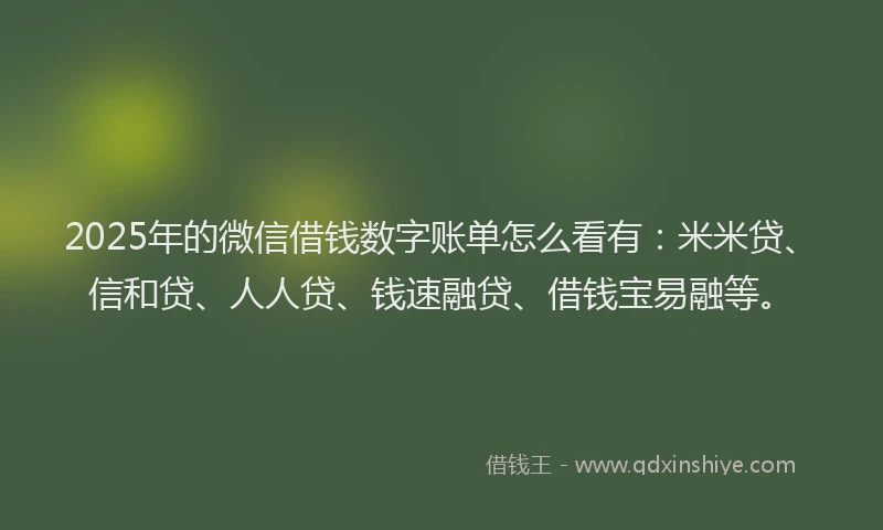 2025年的微信借钱数字账单怎么看有：米米贷、信和贷、人人贷、钱速融贷、借钱宝易融等。