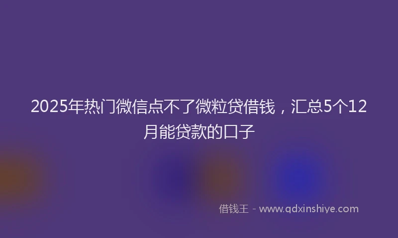 2025年热门微信点不了微粒贷借钱，汇总5个12月能贷款的口子