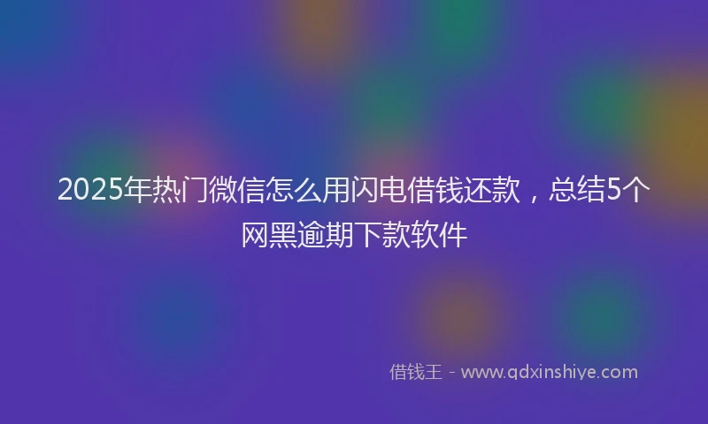 2025年热门微信怎么用闪电借钱还款，总结5个网黑逾期下款软件