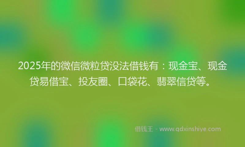2025年的微信微粒贷没法借钱有：现金宝、现金贷易借宝、投友圈、口袋花、翡翠信贷等。