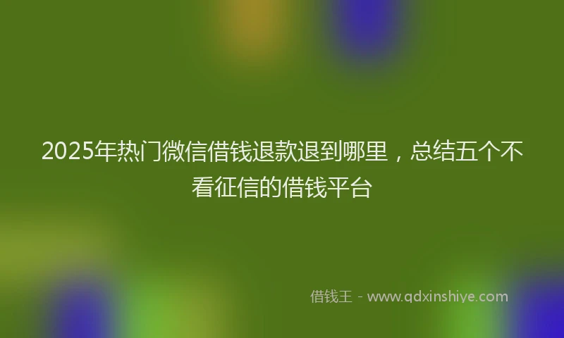 2025年热门微信借钱退款退到哪里，总结五个不看征信的借钱平台