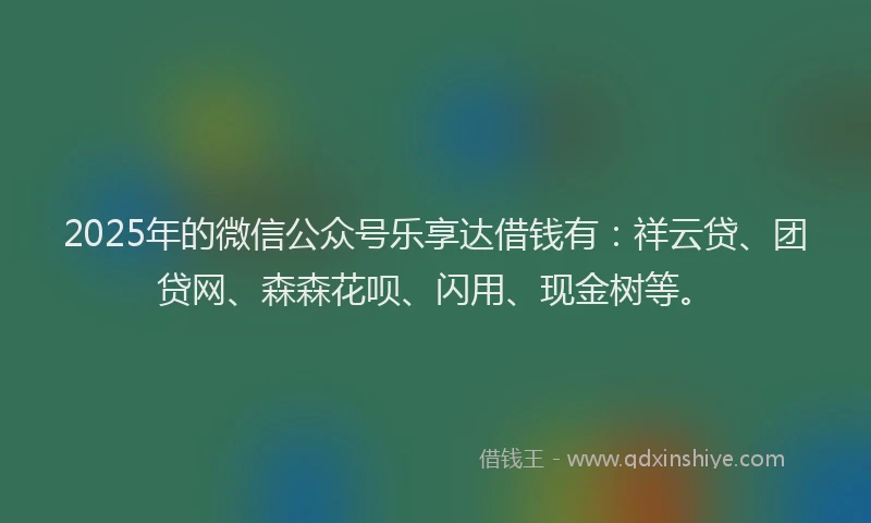 2025年的微信公众号乐享达借钱有：祥云贷、团贷网、森森花呗、闪用、现金树等。
