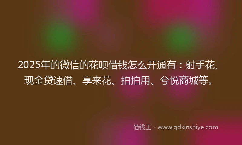 2025年的微信的花呗借钱怎么开通有：射手花、现金贷速借、享来花、拍拍用、兮悦商城等。
