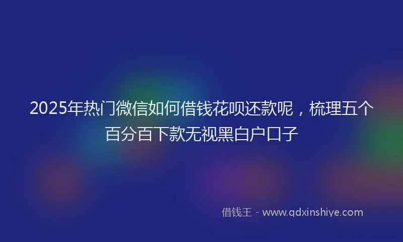 2025年热门微信如何借钱花呗还款呢，梳理五个百分百下款无视黑白户口子