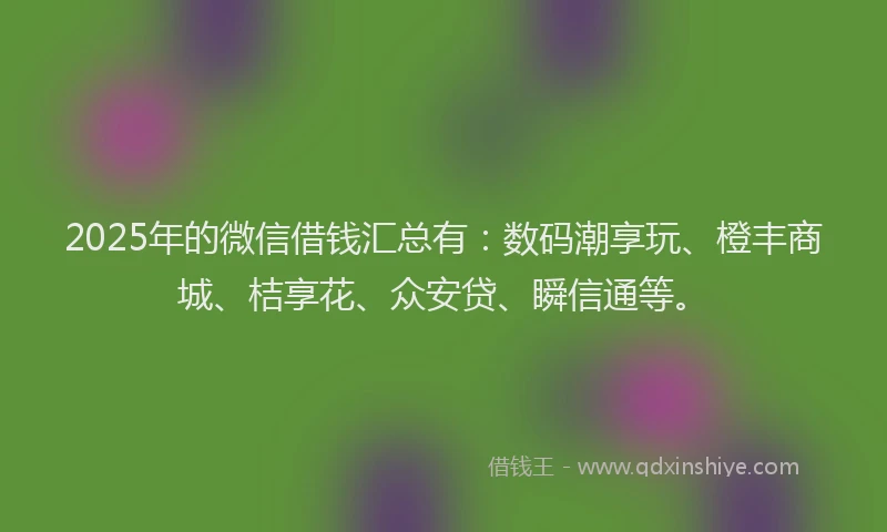 2025年的微信借钱汇总有：数码潮享玩、橙丰商城、桔享花、众安贷、瞬信通等。