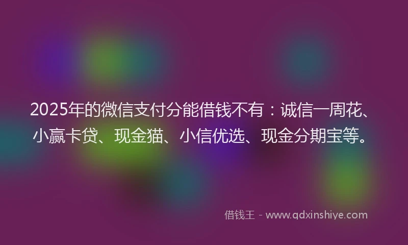 2025年的微信支付分能借钱不有：诚信一周花、小赢卡贷、现金猫、小信优选、现金分期宝等。