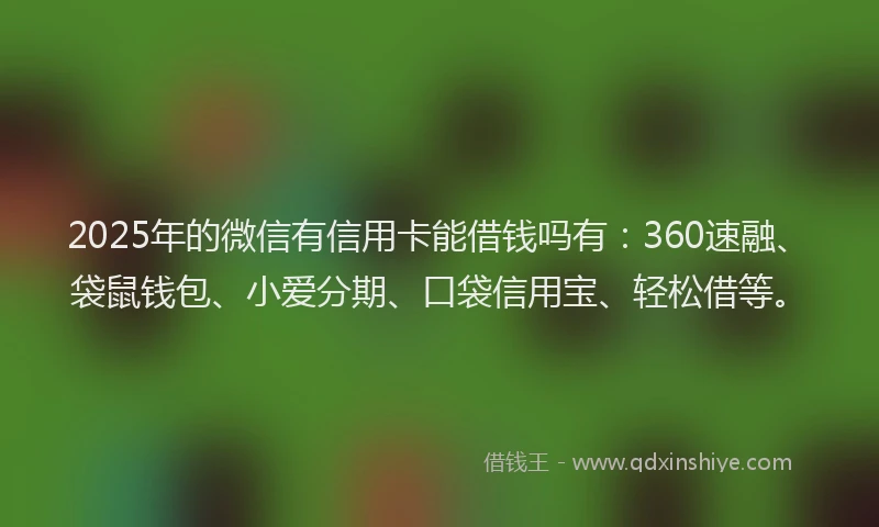 2025年的微信有信用卡能借钱吗有：360速融、袋鼠钱包、小爱分期、口袋信用宝、轻松借等。