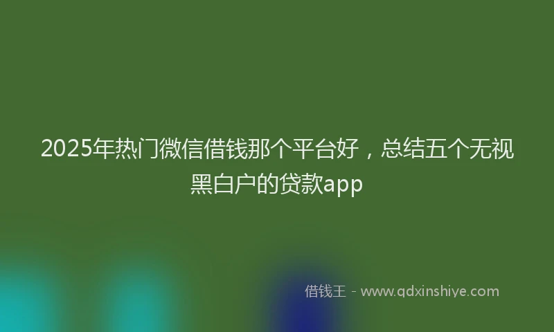 2025年热门微信借钱那个平台好，总结五个无视黑白户的贷款app