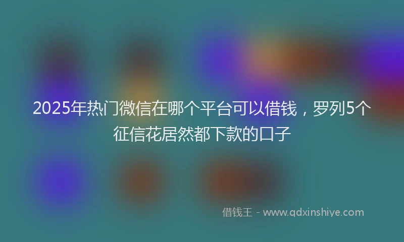 2025年热门微信在哪个平台可以借钱，罗列5个征信花居然都下款的口子