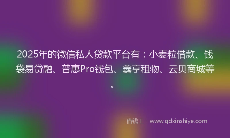 2025年的微信私人贷款平台有：小麦粒借款、钱袋易贷融、普惠Pro钱包、鑫享租物、云贝商城等。