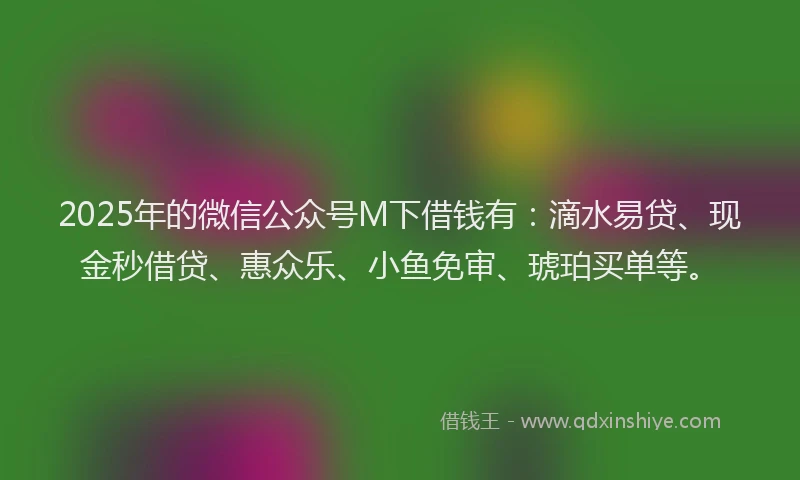 2025年的微信公众号M下借钱有：滴水易贷、现金秒借贷、惠众乐、小鱼免审、琥珀买单等。