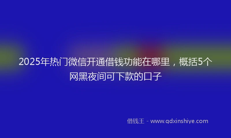 2025年热门微信开通借钱功能在哪里，概括5个网黑夜间可下款的口子