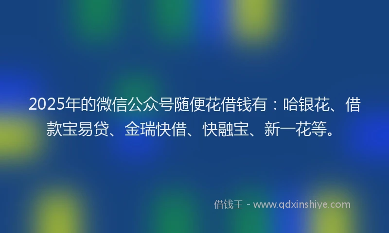 2025年的微信公众号随便花借钱有：哈银花、借款宝易贷、金瑞快借、快融宝、新一花等。