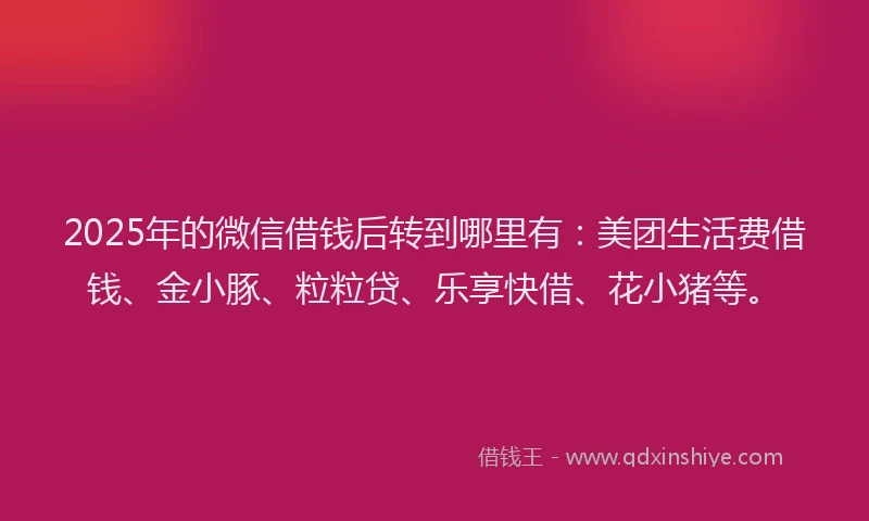 2025年的微信借钱后转到哪里有：美团生活费借钱、金小豚、粒粒贷、乐享快借、花小猪等。