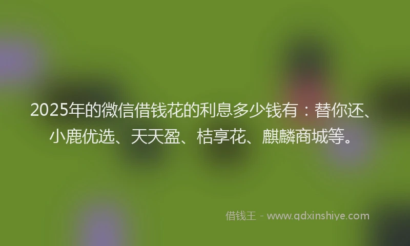2025年的微信借钱花的利息多少钱有：替你还、小鹿优选、天天盈、桔享花、麒麟商城等。