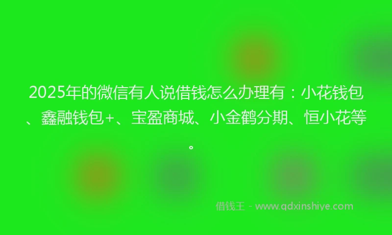 2025年的微信有人说借钱怎么办理有：小花钱包、鑫融钱包+、宝盈商城、小金鹤分期、恒小花等。