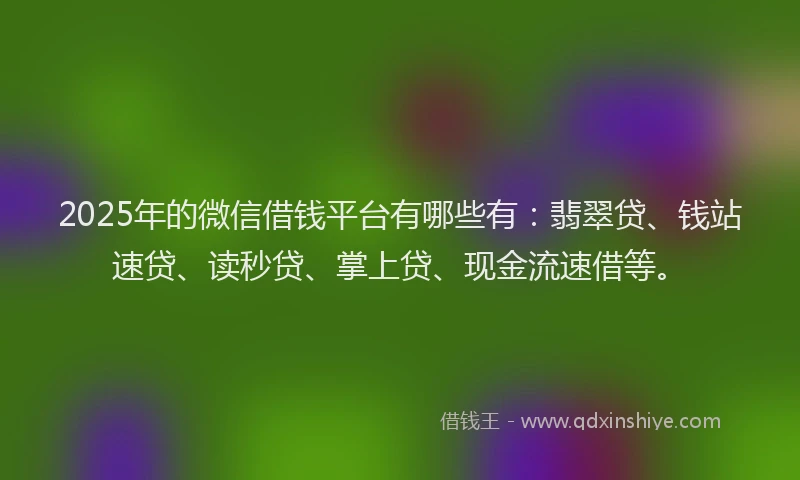 2025年的微信借钱平台有哪些有：翡翠贷、钱站速贷、读秒贷、掌上贷、现金流速借等。