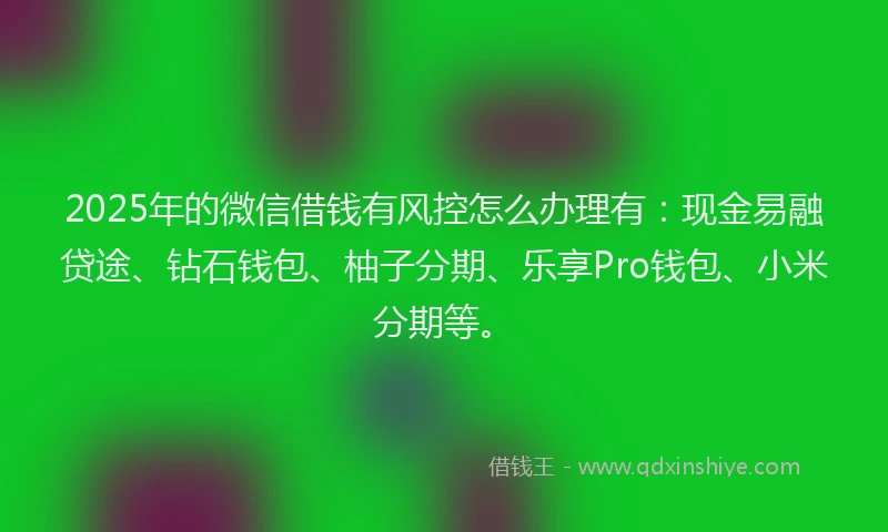 2025年的微信借钱有风控怎么办理有：现金易融贷途、钻石钱包、柚子分期、乐享Pro钱包、小米分期等。