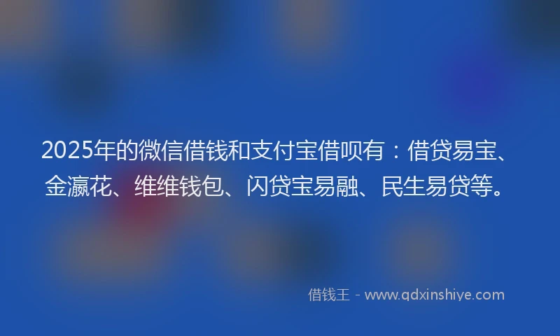 2025年的微信借钱和支付宝借呗有：借贷易宝、金瀛花、维维钱包、闪贷宝易融、民生易贷等。