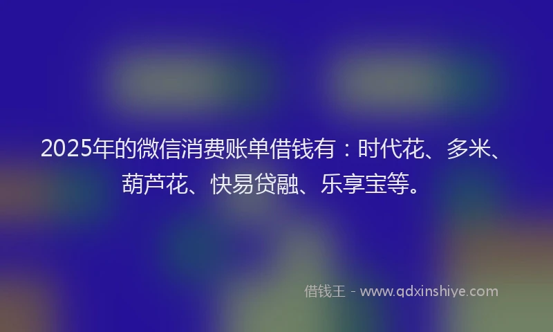 2025年的微信消费账单借钱有：时代花、多米、葫芦花、快易贷融、乐享宝等。