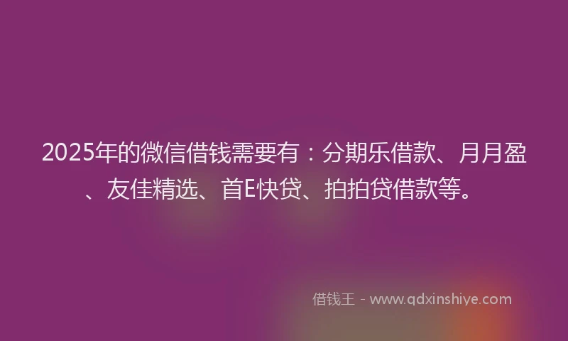 2025年的微信借钱需要有：分期乐借款、月月盈、友佳精选、首E快贷、拍拍贷借款等。