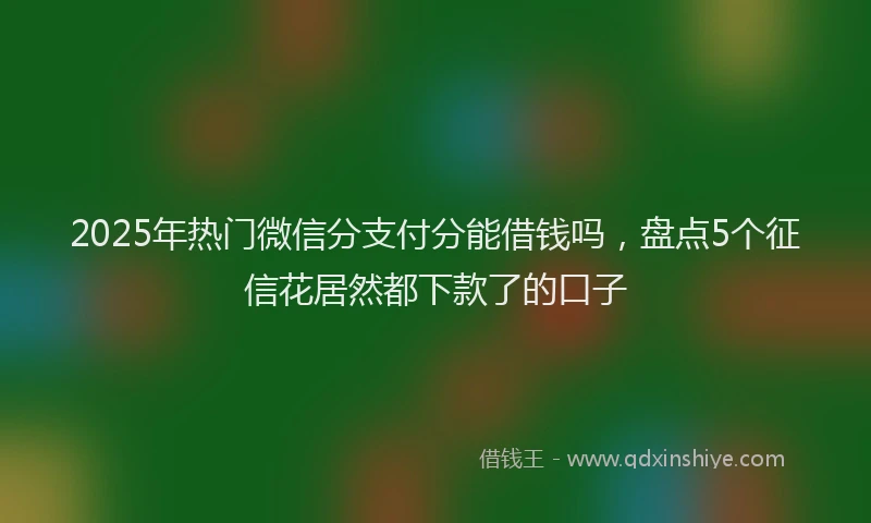 2025年热门微信分支付分能借钱吗，盘点5个征信花居然都下款了的口子