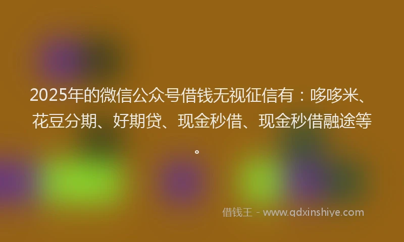 2025年的微信公众号借钱无视征信有：哆哆米、花豆分期、好期贷、现金秒借、现金秒借融途等。