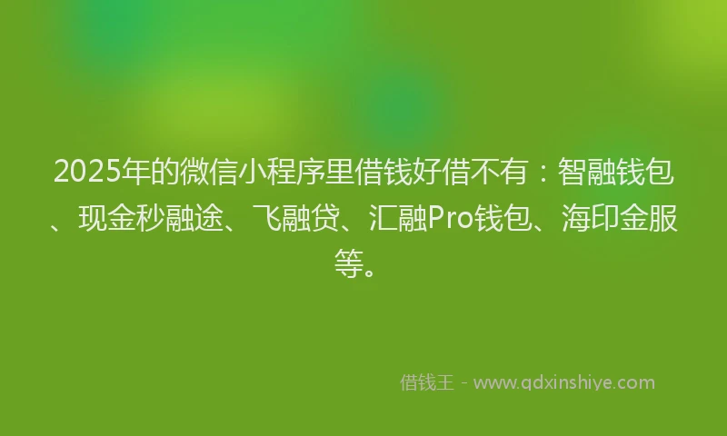 2025年的微信小程序里借钱好借不有：智融钱包、现金秒融途、飞融贷、汇融Pro钱包、海印金服等。