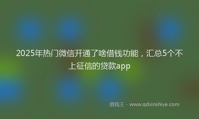 2025年热门微信开通了啥借钱功能，汇总5个不上征信的贷款app