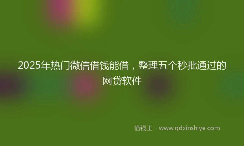 2025年热门微信借钱能借，整理五个秒批通过的网贷软件