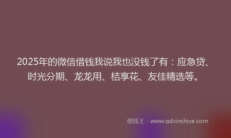 2025年的微信借钱我说我也没钱了有：应急贷、时光分期、龙龙用、桔享花、友佳精选等。