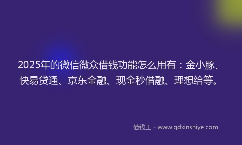 2025年的微信微众借钱功能怎么用有：金小豚、快易贷通、京东金融、现金秒借融、理想给等。