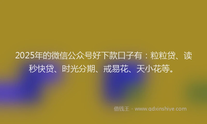 2025年的微信公众号好下款口子有：粒粒贷、读秒快贷、时光分期、戒易花、天小花等。