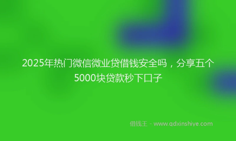 2025年热门微信微业贷借钱安全吗，分享五个5000块贷款秒下口子