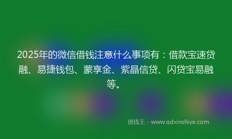 2025年的微信借钱注意什么事项有：借款宝速贷融、易捷钱包、蒙享金、紫晶信贷、闪贷宝易融等。