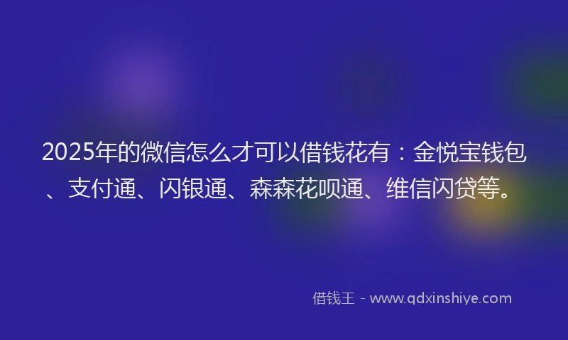 2025年的微信怎么才可以借钱花有：金悦宝钱包、支付通、闪银通、森森花呗通、维信闪贷等。