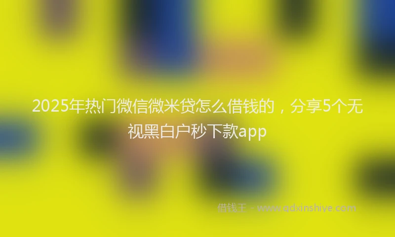 2025年热门微信微米贷怎么借钱的，分享5个无视黑白户秒下款app