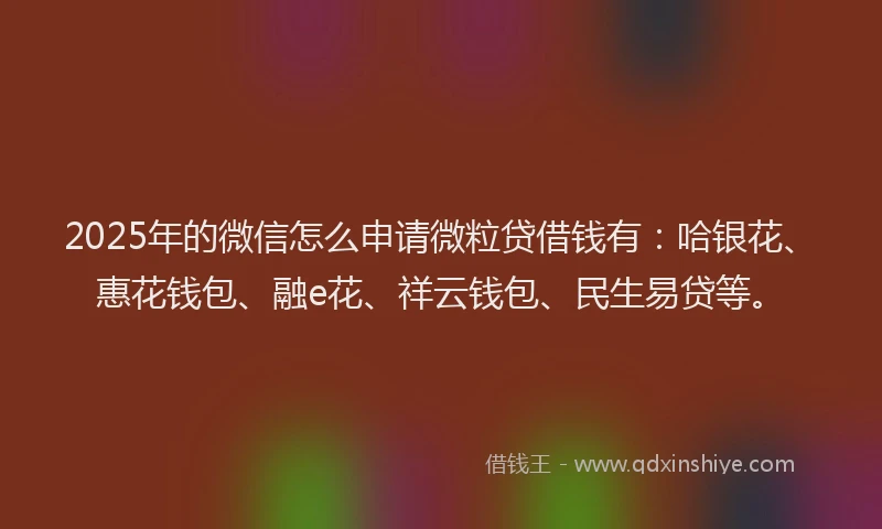 2025年的微信怎么申请微粒贷借钱有：哈银花、惠花钱包、融e花、祥云钱包、民生易贷等。