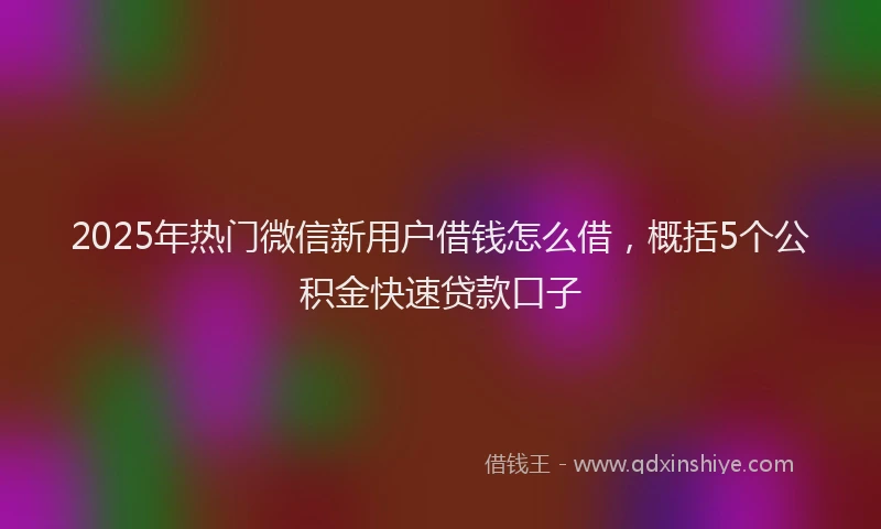 2025年热门微信新用户借钱怎么借，概括5个公积金快速贷款口子