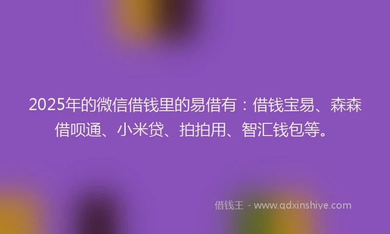 2025年的微信借钱里的易借有：借钱宝易、森森借呗通、小米贷、拍拍用、智汇钱包等。