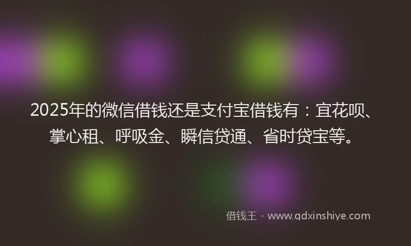 2025年的微信借钱还是支付宝借钱有：宜花呗、掌心租、呼吸金、瞬信贷通、省时贷宝等。