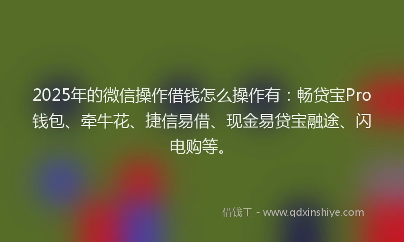 2025年的微信操作借钱怎么操作有：畅贷宝Pro钱包、牵牛花、捷信易借、现金易贷宝融途、闪电购等。