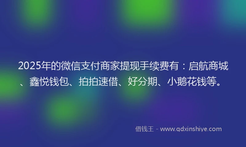 2025年的微信支付商家提现手续费有：启航商城、鑫悦钱包、拍拍速借、好分期、小鹅花钱等。