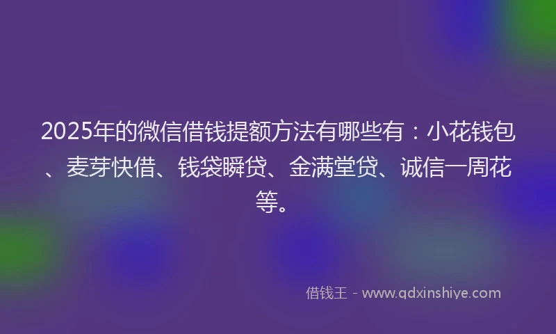 2025年的微信借钱提额方法有哪些有：小花钱包、麦芽快借、钱袋瞬贷、金满堂贷、诚信一周花等。
