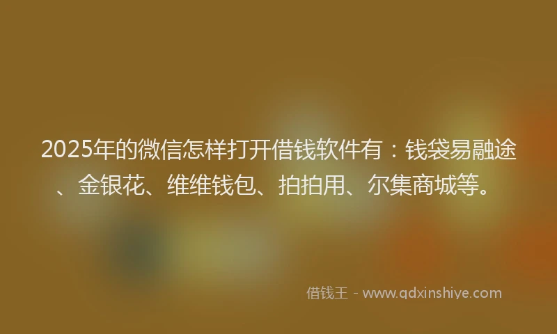 2025年的微信怎样打开借钱软件有：钱袋易融途、金银花、维维钱包、拍拍用、尔集商城等。